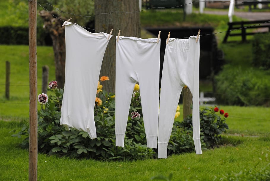 grass, summer, outdoors, nature, clothesline, laundry, outside