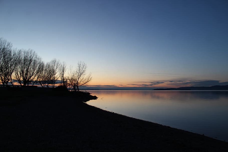 Silhouette of Trees Near Lake at Golden Time, beach, clouds, dawn HD wallpaper