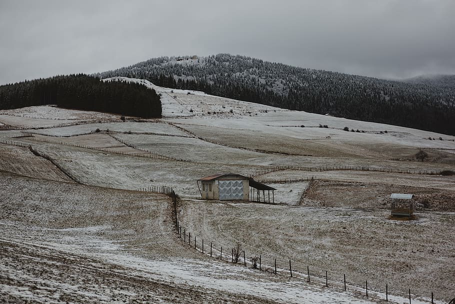 Brown Wooden House Surrounded With Brown Field Near Mountain Under Gray Sky at Daytime HD wallpaper