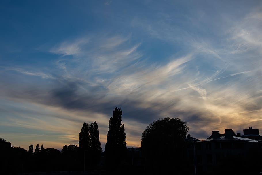 netherlands, amsterdam, sky, cloud - sky, tree, silhouette HD wallpaper