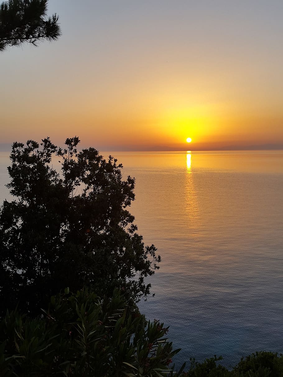 sunset, light, sea, sunlight, yellow, horizon, nature, twilight HD wallpaper