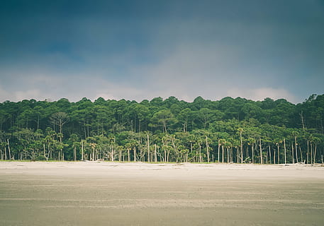lost, beautiful, cloud, sky, island, sand, treeline, beach HD wallpaper