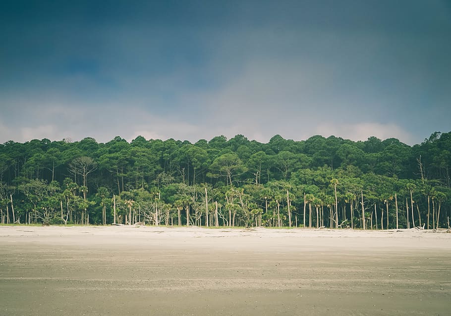 lost, beautiful, cloud, sky, island, sand, treeline, beach HD wallpaper