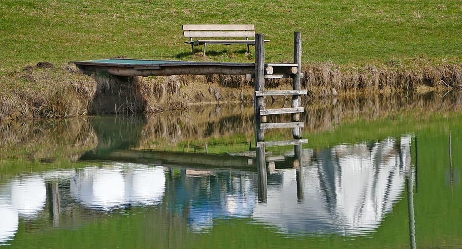 landscape, nature, pond, web, bench, reed, grass, meadow, light HD wallpaper