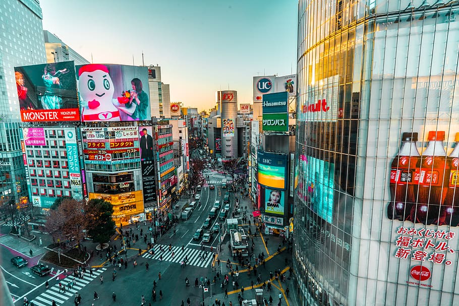 HD wallpaper: Shibuya Crossing, person, pedestrian, human, road ...