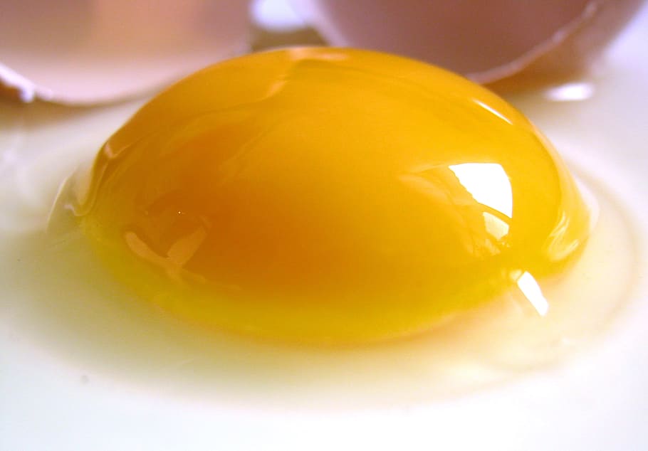egg, broken, life, yellow, nature, food, food and drink, close-up HD wallpaper