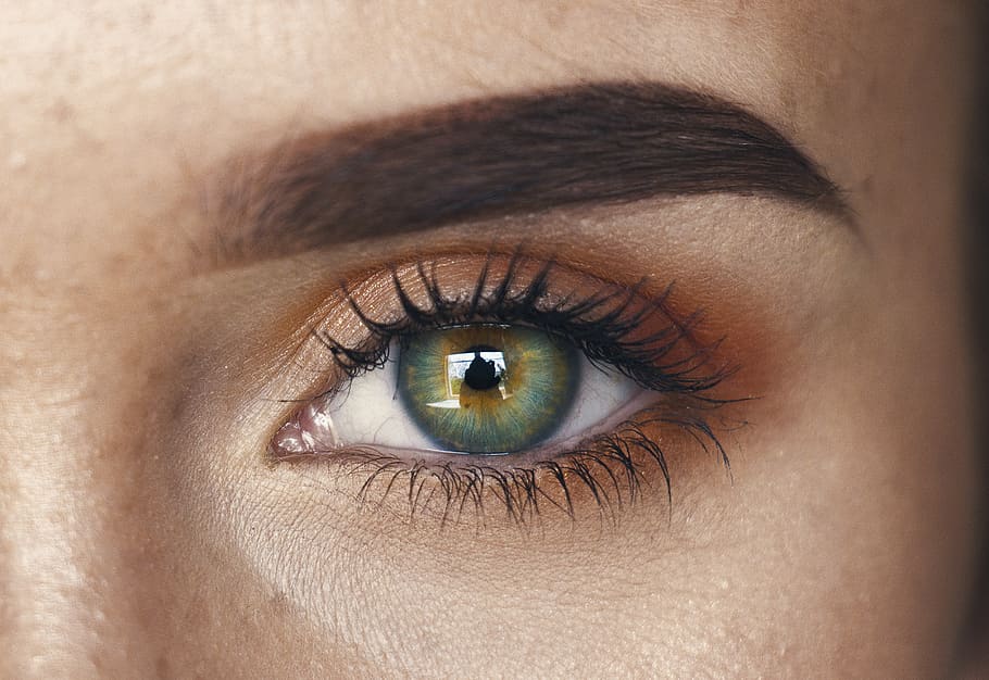 eyeshadow, close up, face, eyelashes, eyebrows, makeup, green eyes HD wallpaper