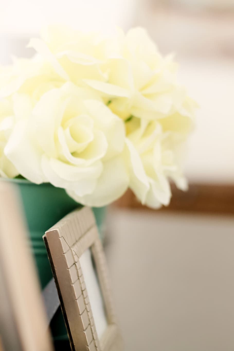 flowers on a table, frame, flowering plant, beauty in nature HD wallpaper
