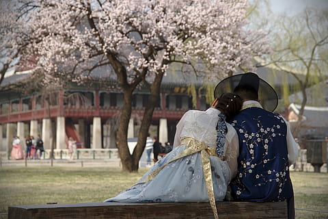 HD wallpaper: seoul, south korea, 1-85 sejongno, couple, cherry tree, love  | Wallpaper Flare