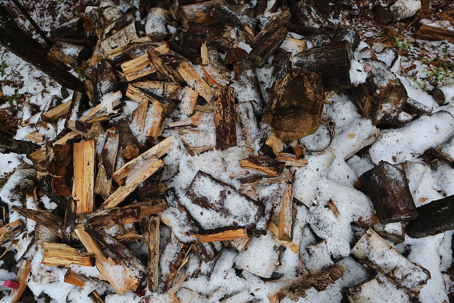 snow, logs, sticks, blocks, wood, tree, forest, winter, full frame HD wallpaper
