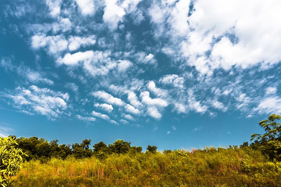 jammu and kashmir, cloud - sky, plant, beauty in nature, tree HD wallpaper