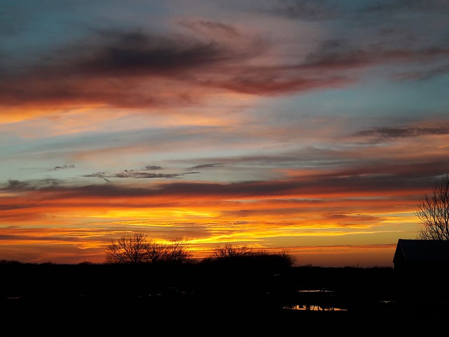 trees, texas, sunset, cloud - sky, silhouette, orange color HD wallpaper