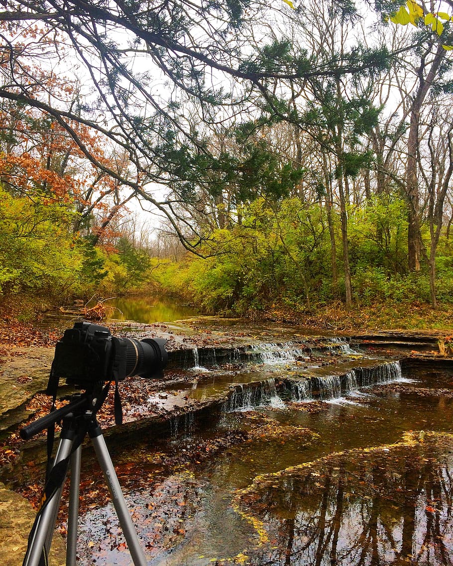 creek, forest, stream, river, camer, canon, photo, back ground HD wallpaper