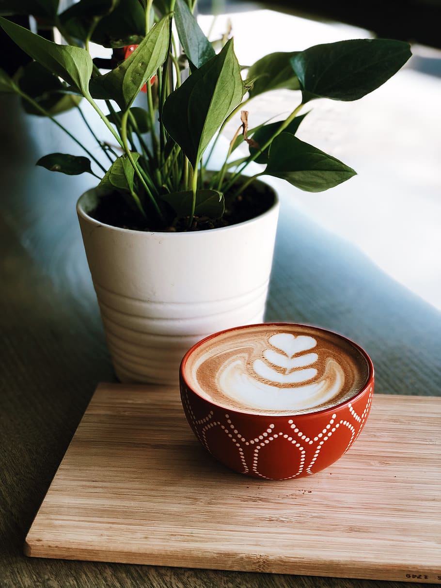 green leaf plant, coffee cup, drink, latte, beverage, pottery HD wallpaper
