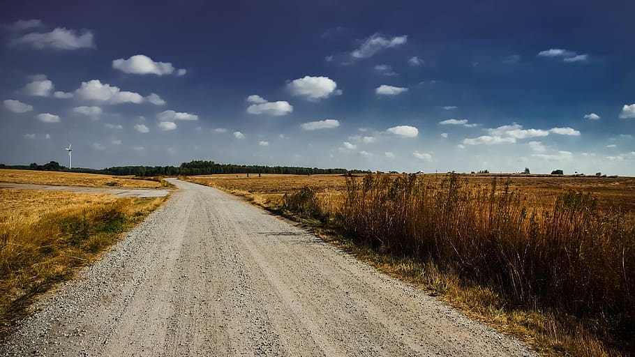 Gray Road in Between Brown Grass Under White Cloudy Sky, clouds HD wallpaper