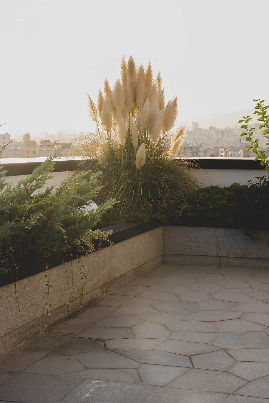 iran, tehran, darrous, plant, architecture, built structure HD wallpaper