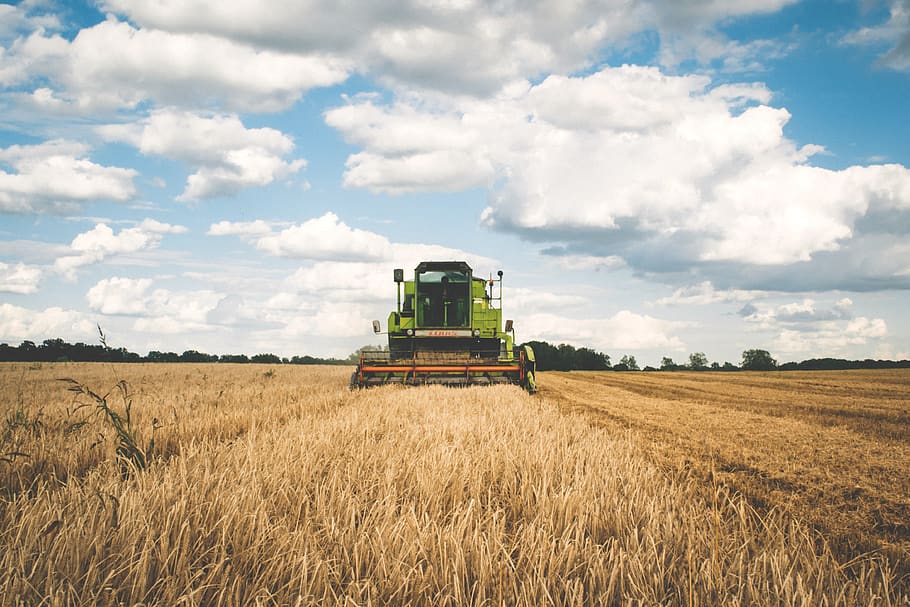 Green Tractor, cereal, clouds, cropland, farm, farmland, field HD wallpaper