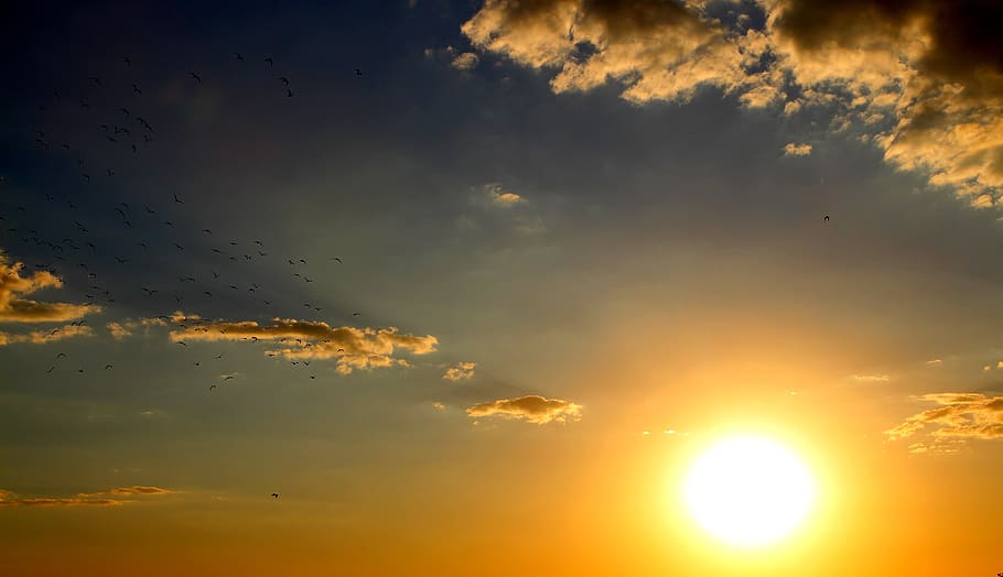 Golden Hour Photography, backlit, bright, cloud, color, dawn HD wallpaper