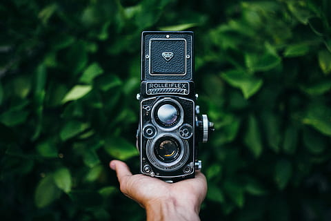 vintage black Rolleflex camera, hand, green, tree, film, ansel adam HD wallpaper