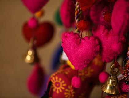 plant, hearts, felt, macro, crowd, flower, blossom, lighting HD wallpaper