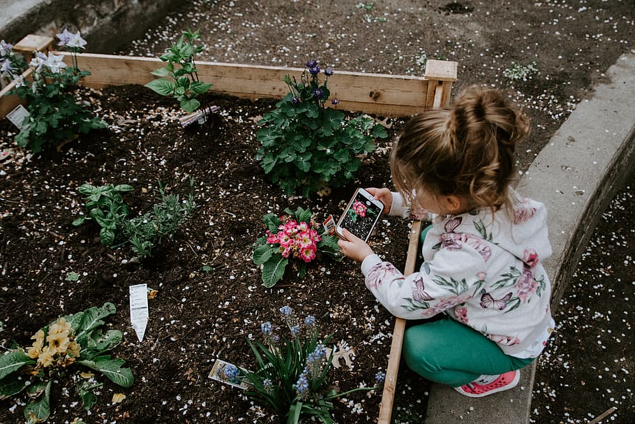 girl sitting using smartphone, person, human, people, garden HD wallpaper