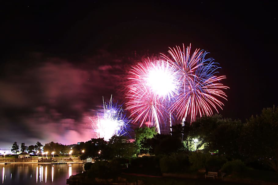 Silhouette of Trees Under Fireworks, bright, celebrate, celebration, HD wallpaper