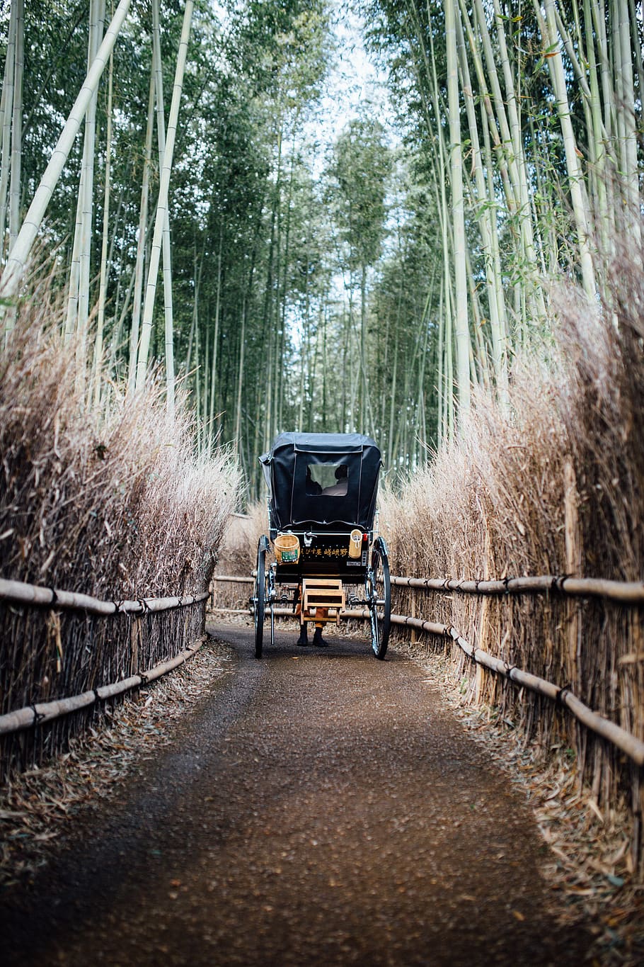 black carriage on brown path, plant, machine, wheel, bamboo, grass, HD wallpaper