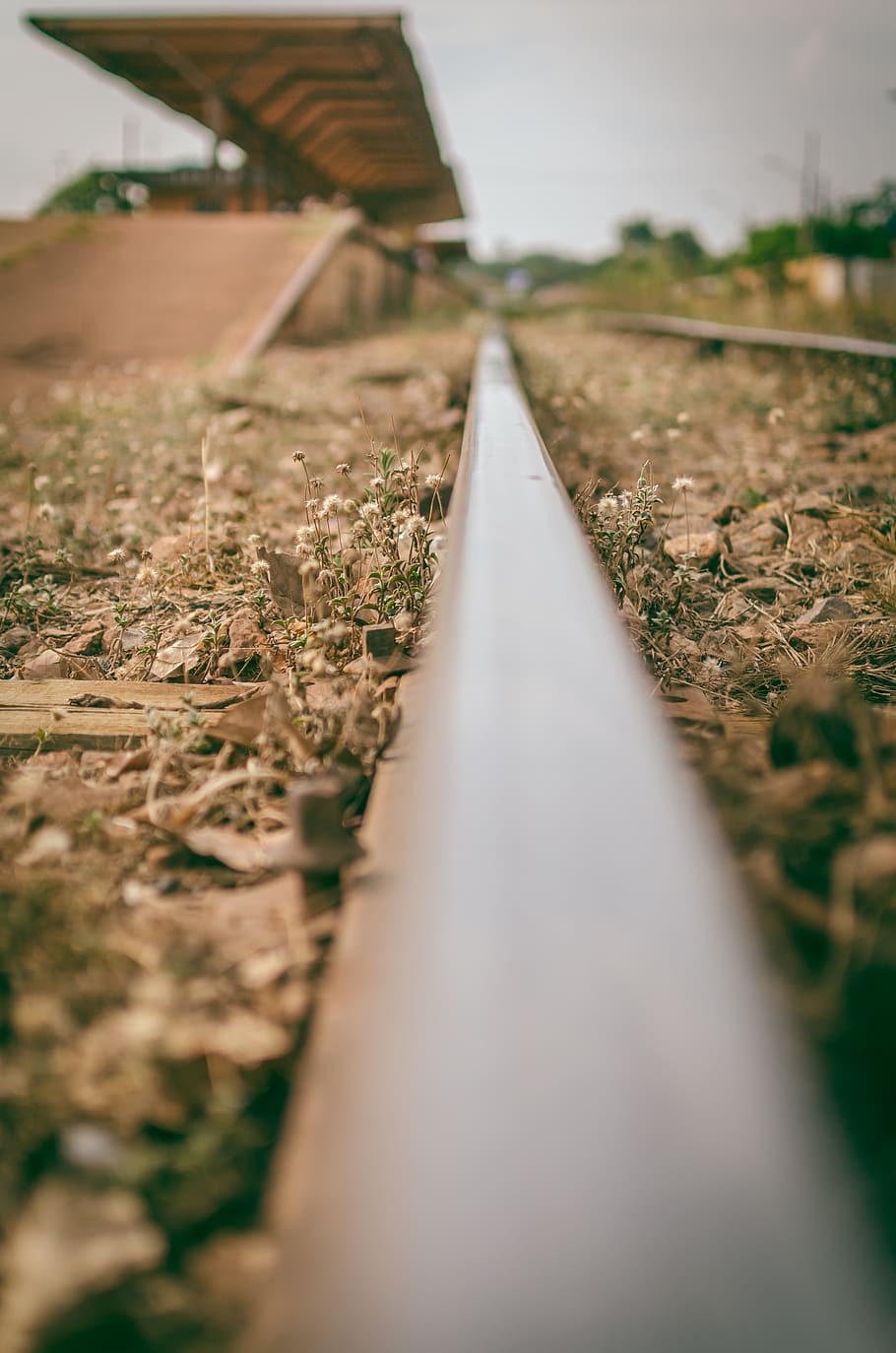 Selective-focus View of Train Station from a Rail, blur, brown HD wallpaper