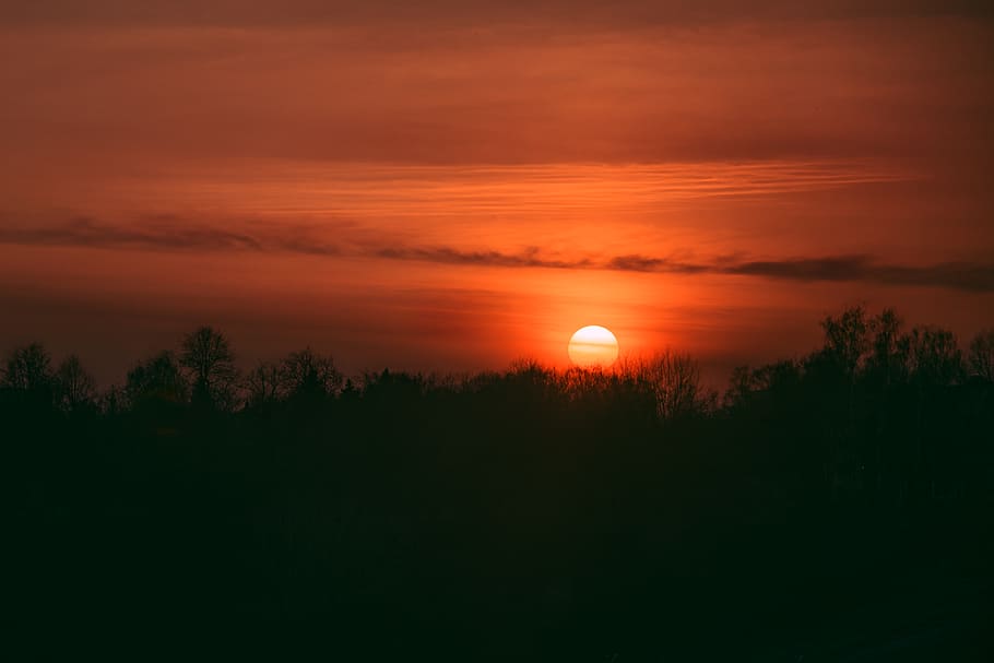 trees under red sky, beauty in nature, scenics - nature, sunset HD wallpaper