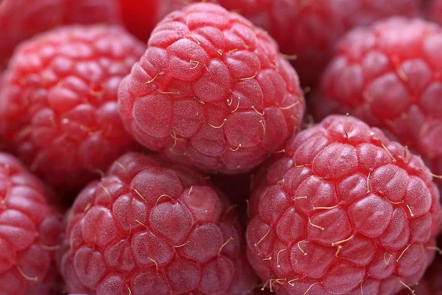 raspberry, raspberries, fruit, red, food, nutrition, close up HD wallpaper