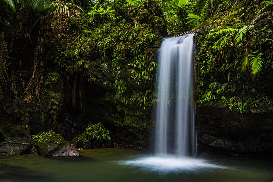 puerto rico, el yunque, forest, waterfall, jungle, stream, long exposure