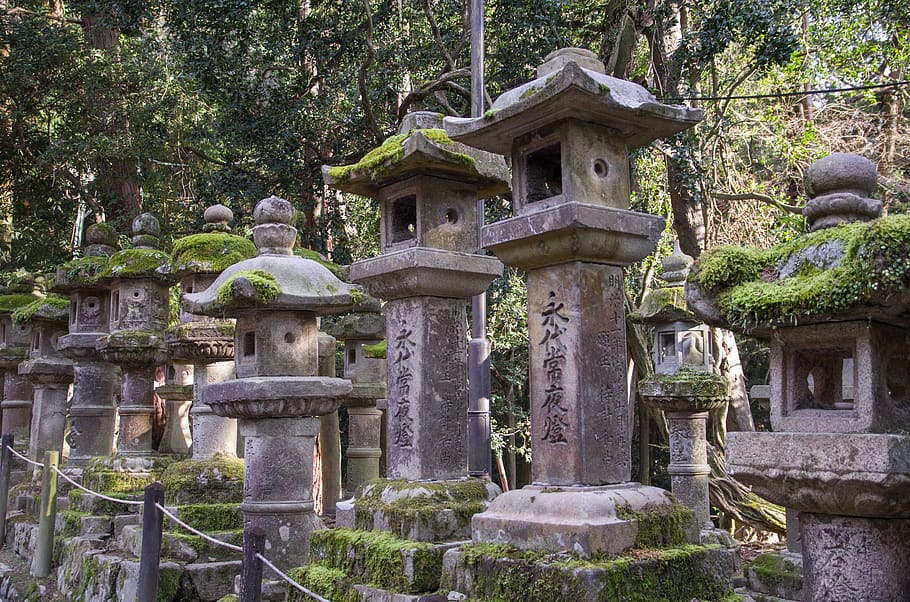 japan, nara, lantern, temple, buddhism, built structure, architecture, HD wallpaper