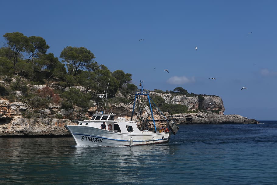 nautical vessel, transportation, mode of transportation, sea HD wallpaper