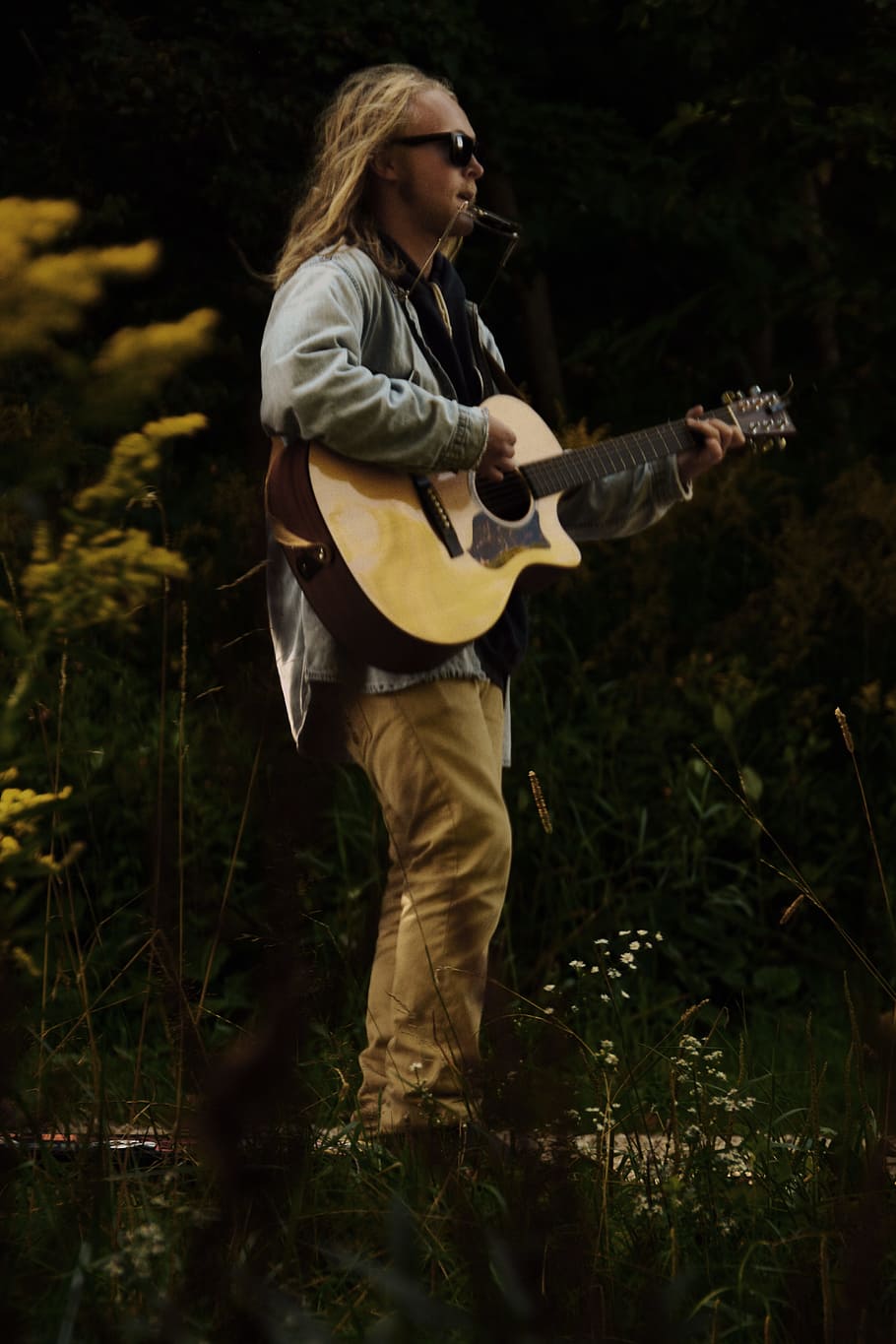 guitarist, one person, plant, three quarter length, holding HD wallpaper