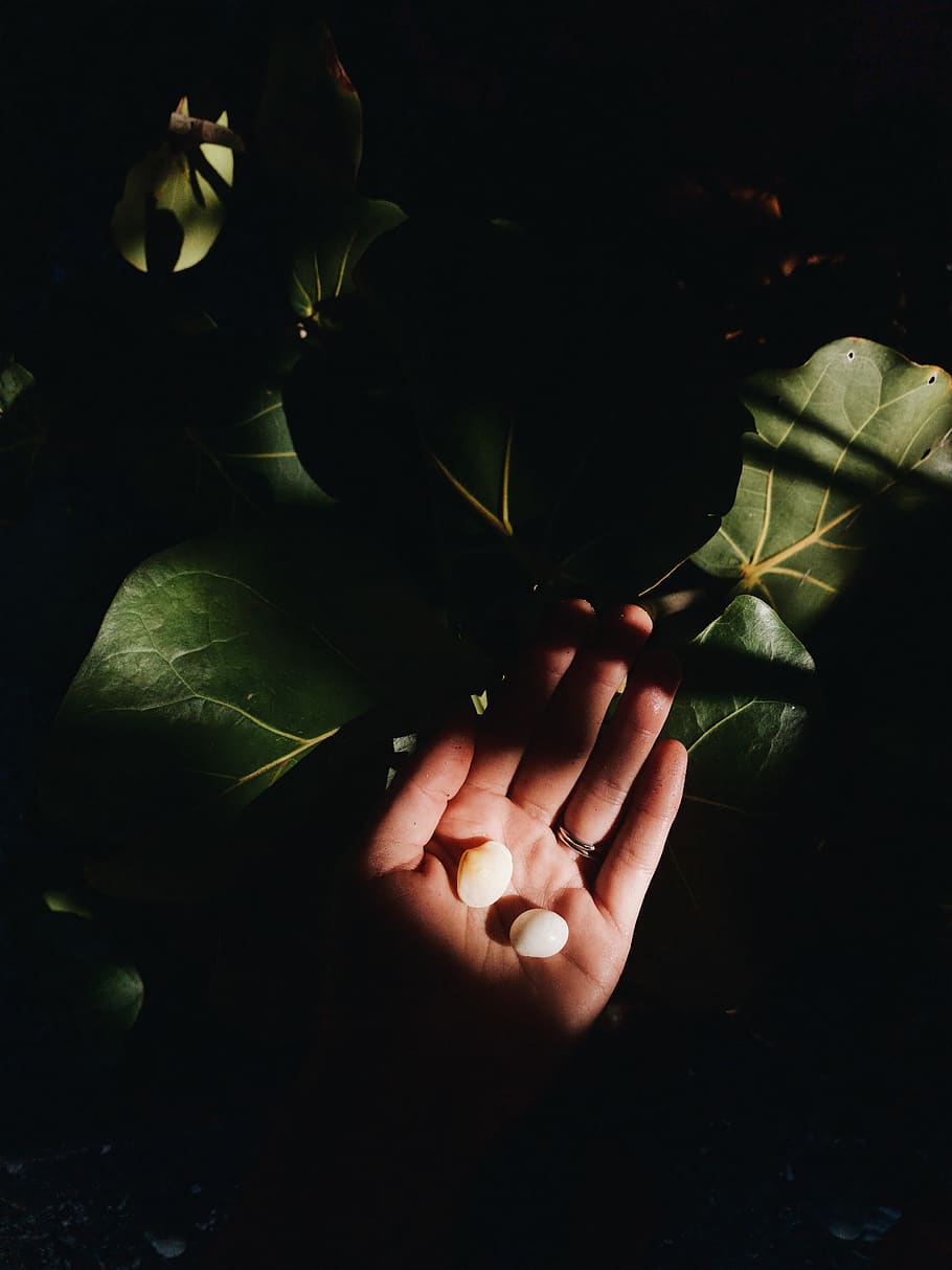 cuba, guantanamo, shells, dark, hand, nature, tropical, mood HD wallpaper