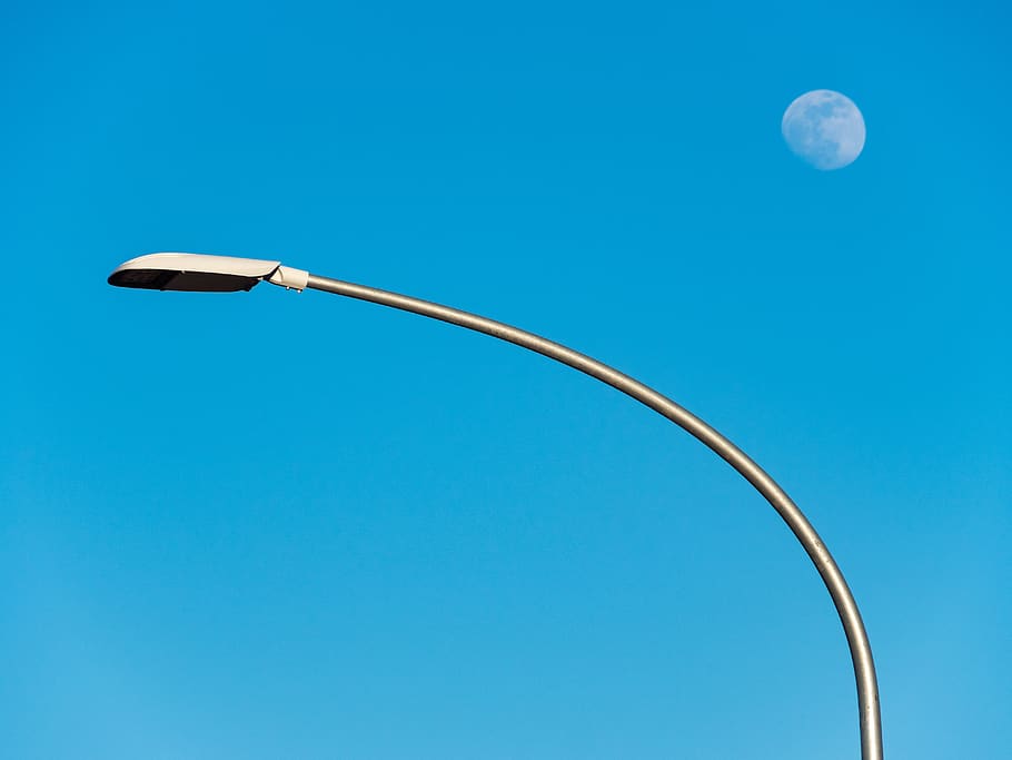 gray outdoor light under moon, flying, animal, bird, outdoors HD wallpaper