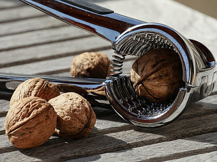 Five Nuts and Stainless Steel Nutcracker, blur, close-up, focus HD wallpaper