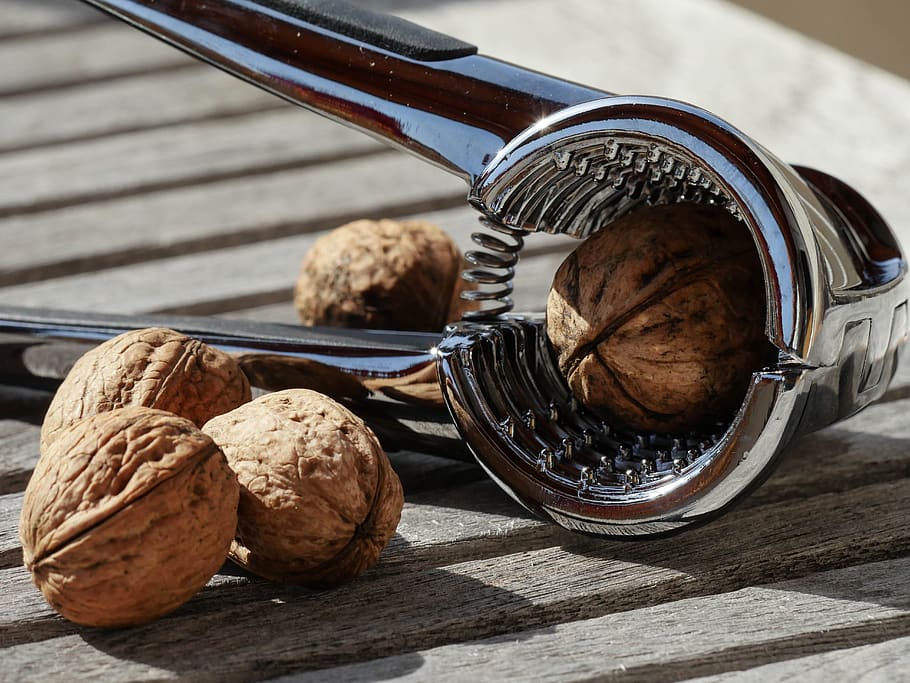 Five Nuts and Stainless Steel Nutcracker, blur, close-up, focus HD wallpaper