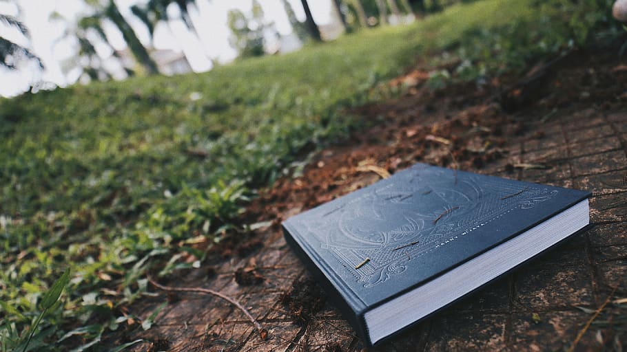 Black Book on Brown Floor, close-up, daylight, dirty, fall, flora HD wallpaper