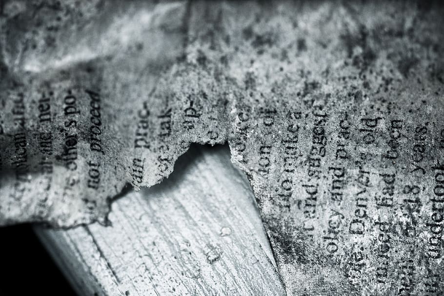 Book Page Wallpaper, document, vintage, selective focus, no people HD wallpaper