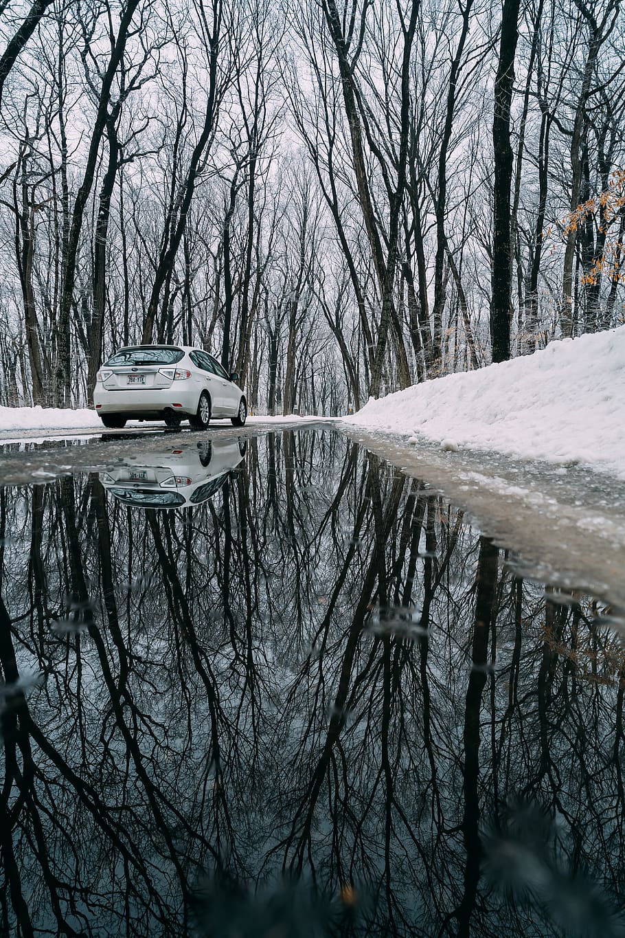 White Vehicle On The Road, car, drive, puddle, reflection, season HD wallpaper