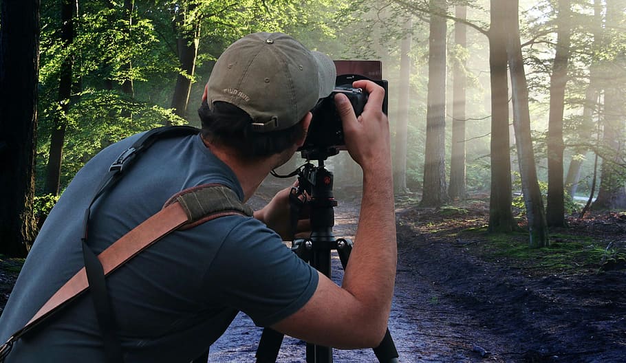 Photographer in the forest, shooting images of nature with DSLR camera on a tripod., HD wallpaper
