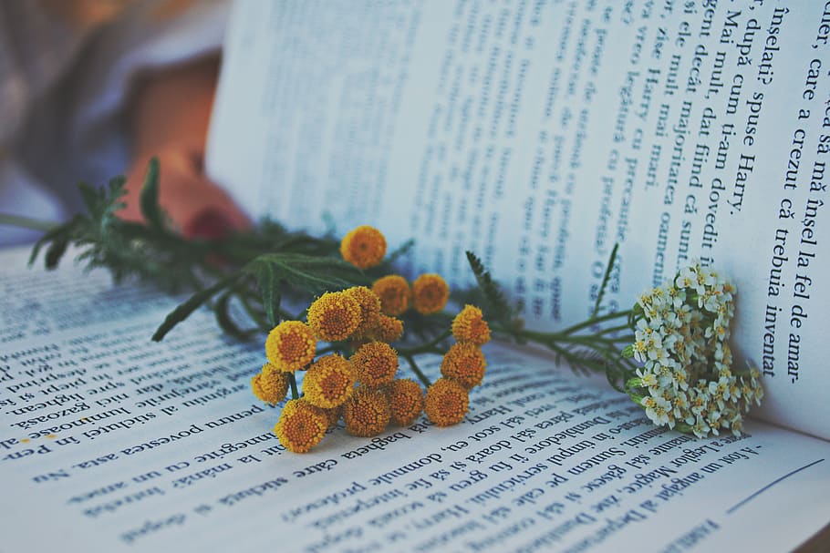 Flowers On Book, bloom, blossom, page, text, publication, communication HD wallpaper