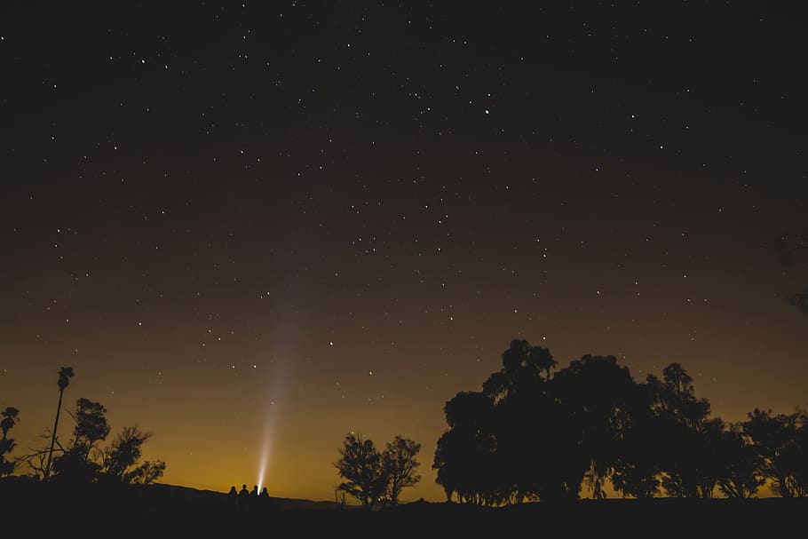 stars, sky, night, evening, dark, flashlight, silhouette, trees HD wallpaper