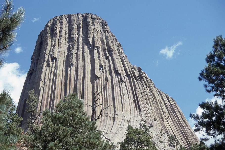 united states, devils tower, devil's, wyoming, sky, tree, low angle view HD wallpaper