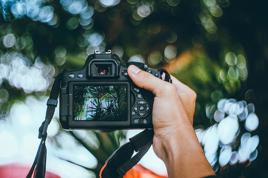 camera, black, photography, blur, bokeh, nature, outside, hand HD wallpaper
