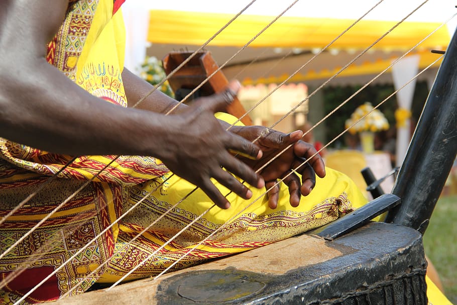human, person, bow, finger, weaving, black, strings, instrument HD wallpaper