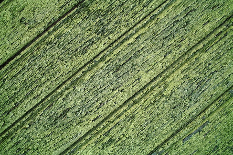 Green Wood Plank, background, close-up, construction, design HD wallpaper