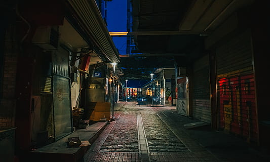 empty alleyway, walkway, path, pavement, sidewalk, flagstone HD wallpaper