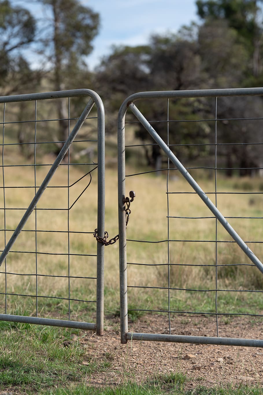 gate, chain, latch, access, closed shut, paddock, farm, country HD wallpaper